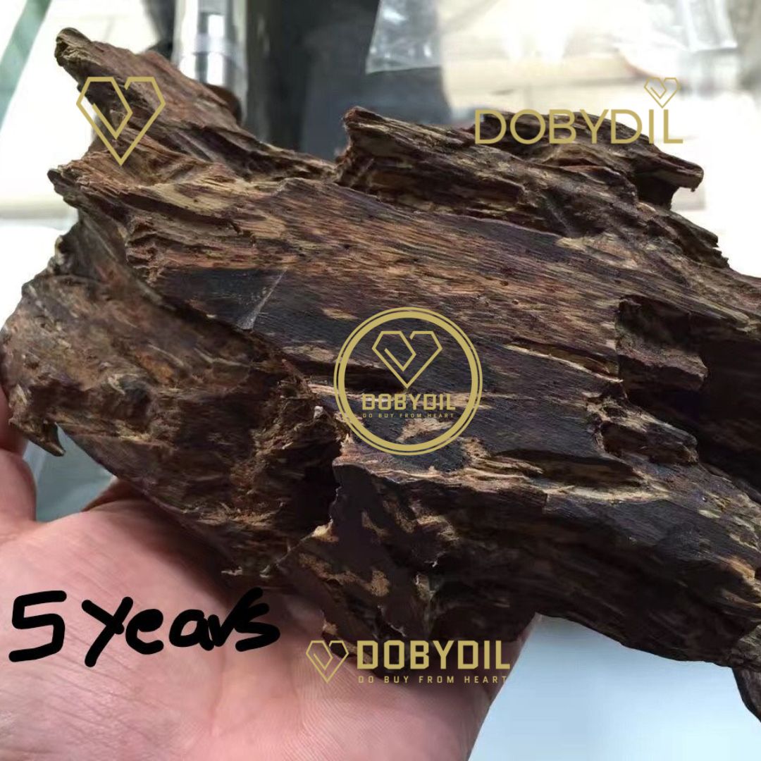 Pure Prachantakham Agarwood Oil Dehn Al Oudh | عطر عود براشانتكهام النقي | Huile d’Agarwood Pure de Prachantakham Dehn Al Oudh