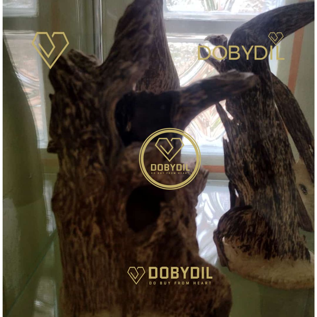 Pure Prachantakham Agarwood Oil Dehn Al Oudh | عطر عود براشانتكهام النقي | Huile d’Agarwood Pure de Prachantakham Dehn Al Oudh