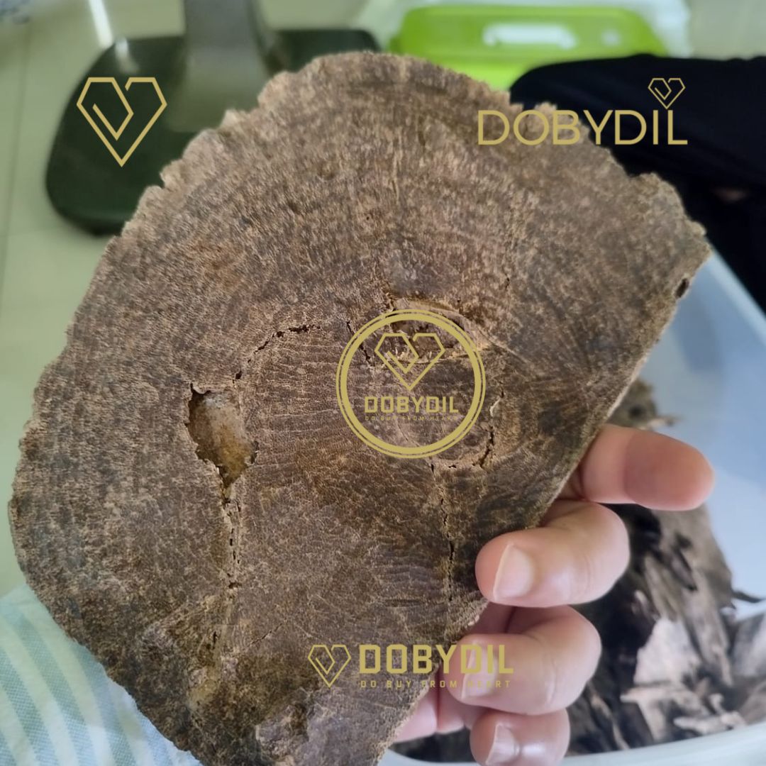 Pure Prachantakham Agarwood Oil Dehn Al Oudh | عطر عود براشانتكهام النقي | Huile d’Agarwood Pure de Prachantakham Dehn Al Oudh