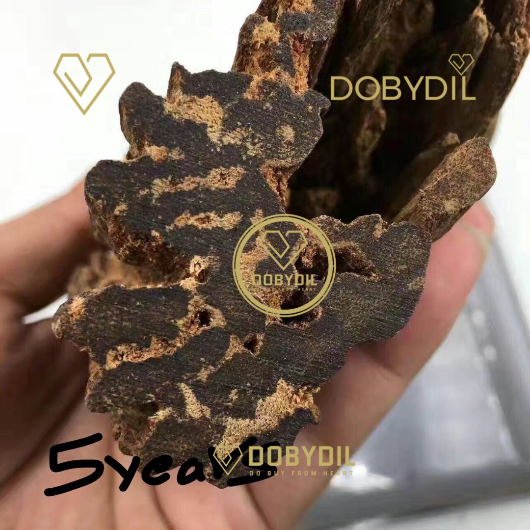 Pure Prachantakham Agarwood Oil Dehn Al Oudh | عطر عود براشانتكهام النقي | Huile d’Agarwood Pure de Prachantakham Dehn Al Oudh